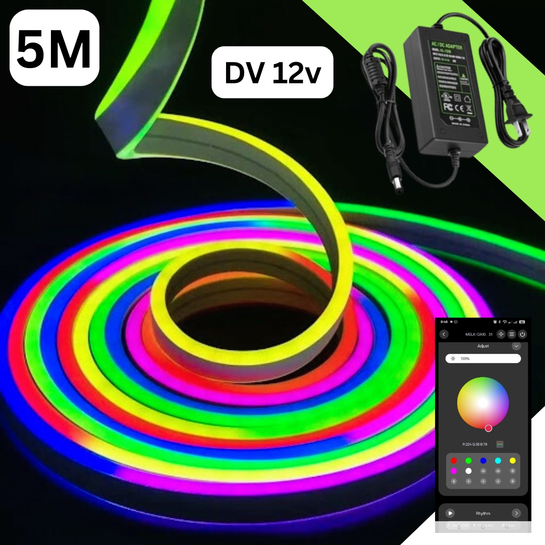 Dc 12v 5 Meter RGB Neon Light with App Control Only