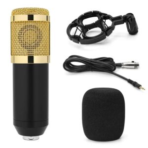 BM800 Condenser Microphone