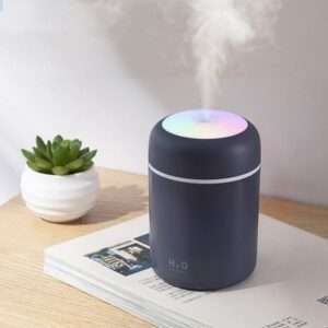 H2O Humidifier For Car, Studio And Home